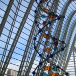 Scopri di più sull'articolo INVOLONTARI PROTAGONISTI DELL'EVOLUZIONE UMANA