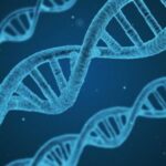 Scopri di più sull'articolo Roche annuncia le novità nel trial Generation-HD